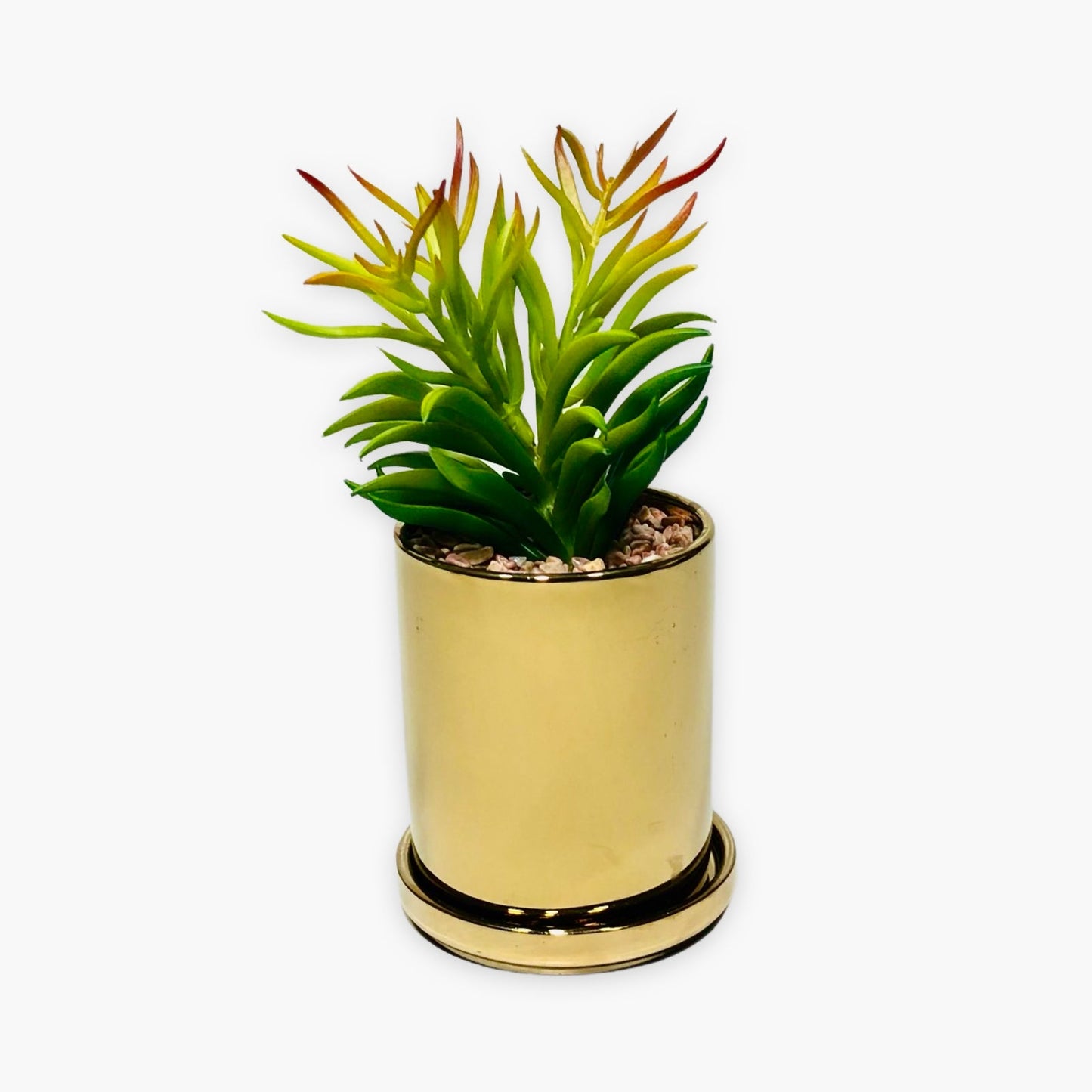 Geometric Golden Jasmin Planter